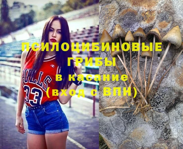 первитин Нея