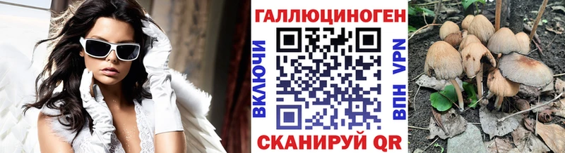 Купить где  Красноуральск  Галлюциногенные грибы Psilocybe 